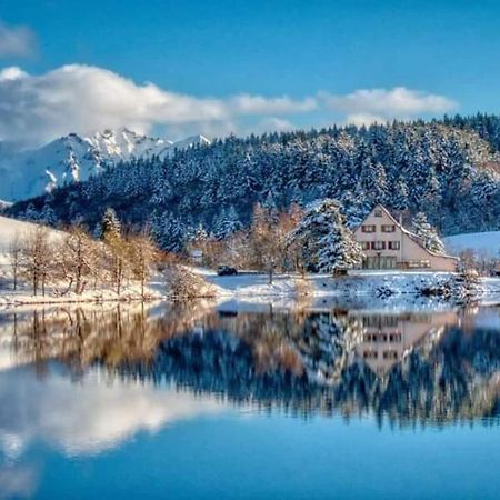 Chalet Des Cascades Ле-Мон-Дор Экстерьер фото