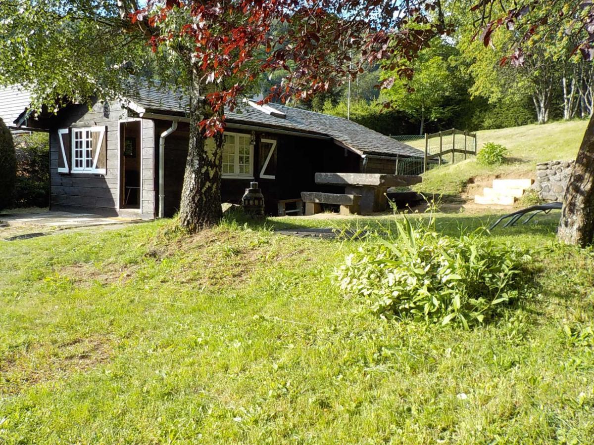 Chalet Des Cascades Ле-Мон-Дор Экстерьер фото