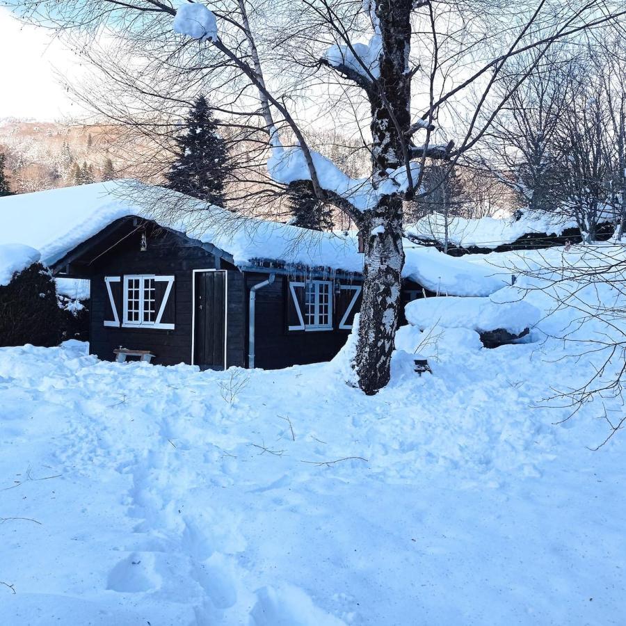 Chalet Des Cascades Ле-Мон-Дор Экстерьер фото