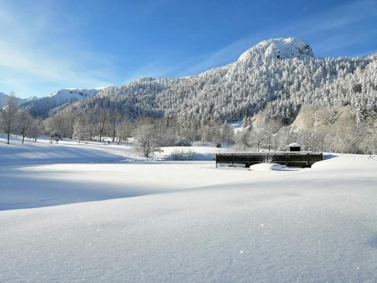 Chalet Des Cascades Ле-Мон-Дор Экстерьер фото